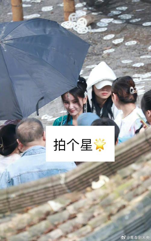 的总阵容如下