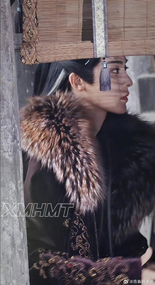 的总阵容如下
